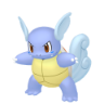 Wartortle