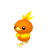 Torchic