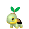 Turtwig