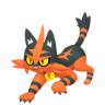 Torracat