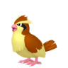 Pidgey