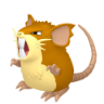 Raticate