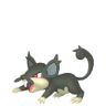 Rattata Alolan