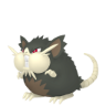 Raticate Alolan