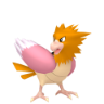 Spearow